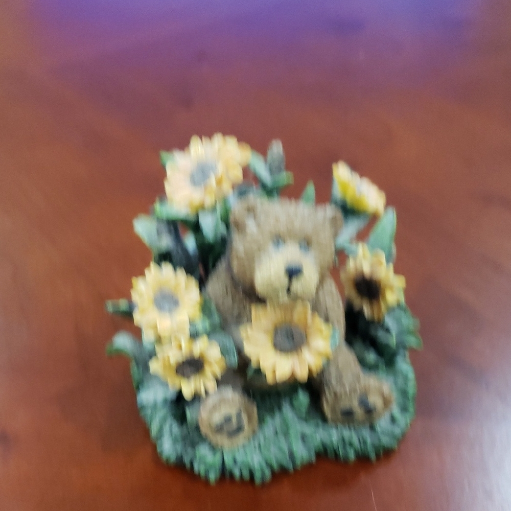 Boyd's Bears. Bubba Ray... Sunny Days